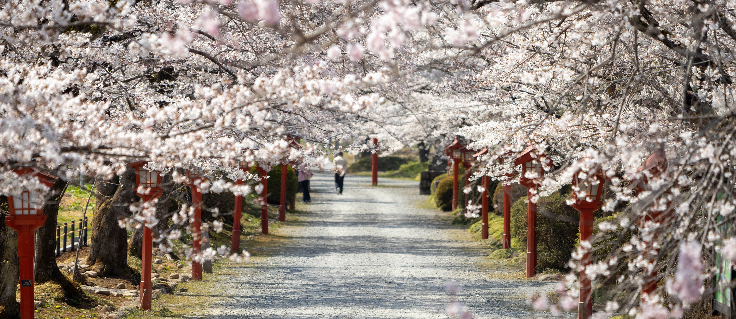 令和7年度被災12市町村における地域のつながり支援事業